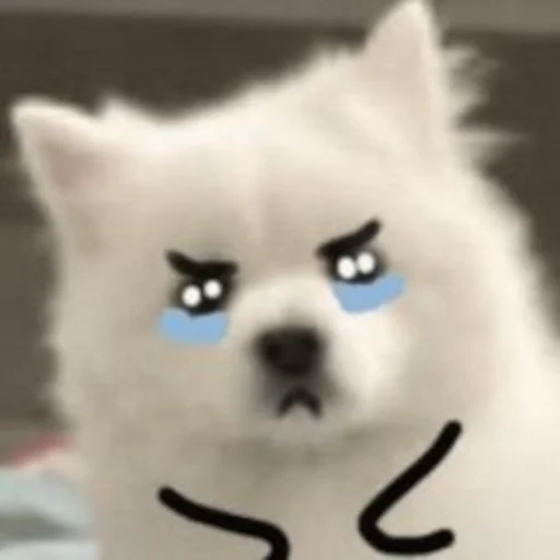 😭 Стикер «Inudog» для Telegram