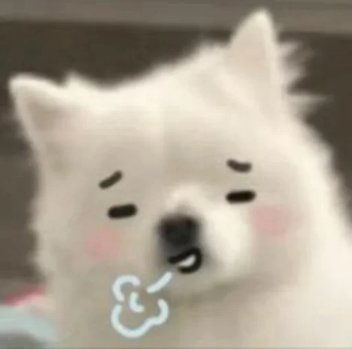 😮‍💨 Стикер «Inudog» для Telegram