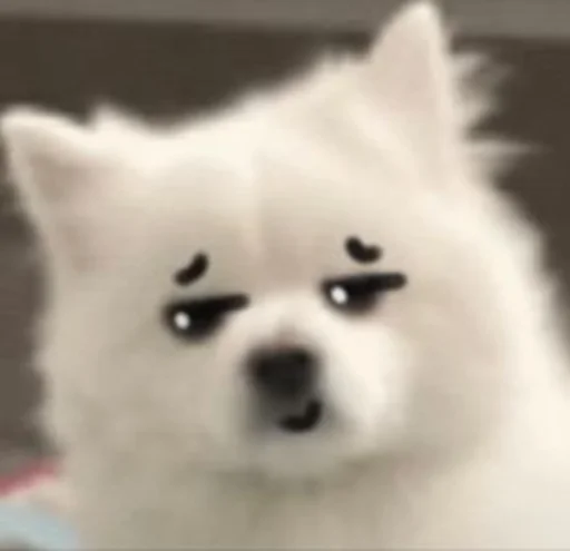 😏 Стикер «Inudog» для Telegram