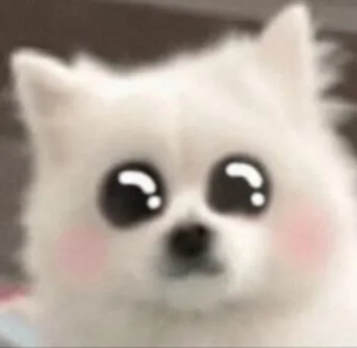 🥺 Стикер «Inudog» для Telegram