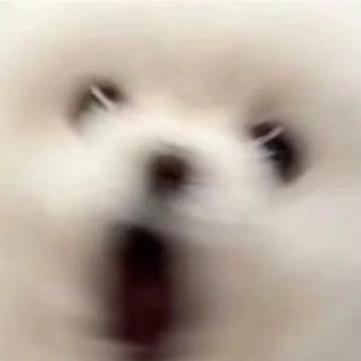 😲 Стикер «Inudog» для Telegram