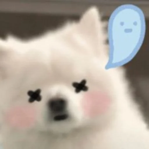 😵 Стикер «Inudog» для Telegram