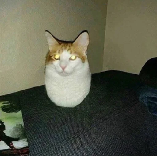 😼 Стикер «IpCatMeme» для Telegram