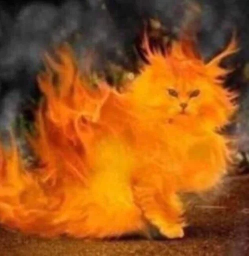 🔥 Стикер «IpCatMeme» для Telegram