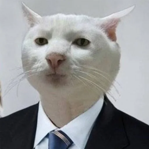 😑 Стикер «IpCatMeme» для Telegram