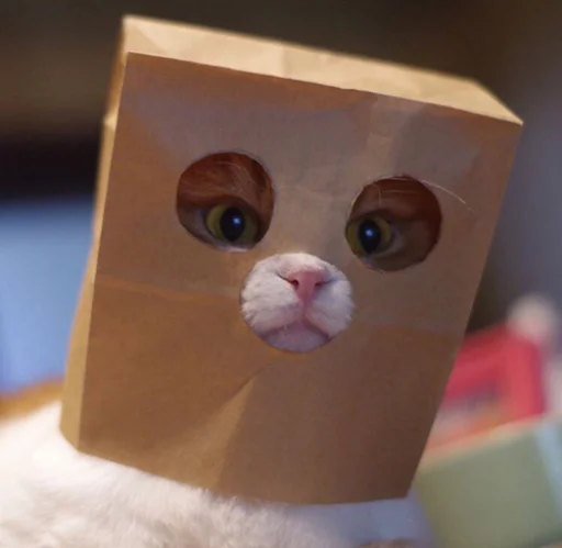 🥷 Стикер «IpCatMeme» для Telegram