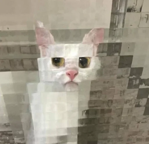 🔳 Стикер «IpCatMeme» для Telegram