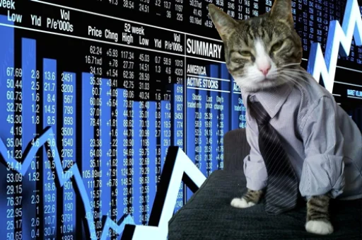 📈 Стикер «IpCatMeme» для Telegram