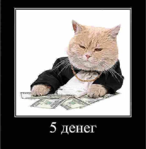 💸 Стикер «IpCatMeme» для Telegram