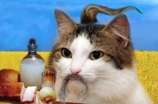 🇺🇦 Стикер «IpCatMeme» для Telegram