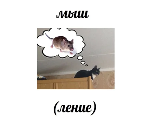 🤔 Стикер «IpCatMeme» для Telegram