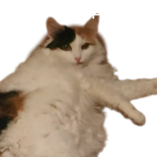 😎 Стикер «Иринарх» для Telegram