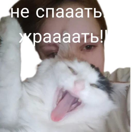 😜 Стикер «Иринарх» для Telegram