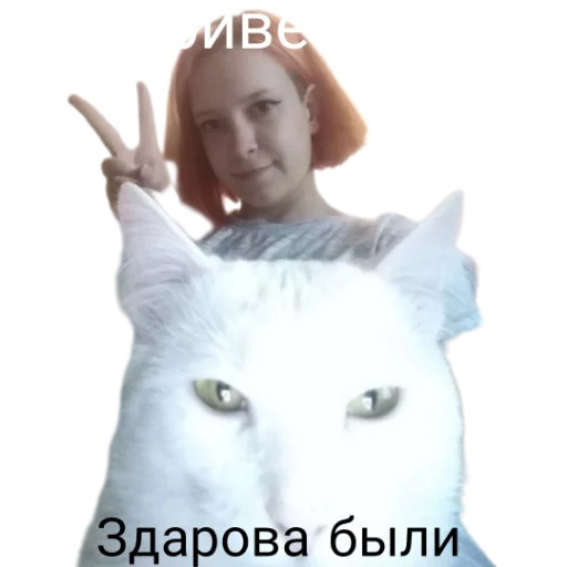 ✋ Стикер «Иринарх» для Telegram