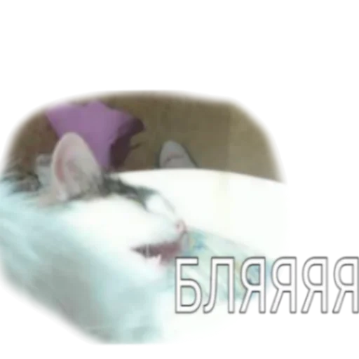 😬 Стикер «Иринарх» для Telegram