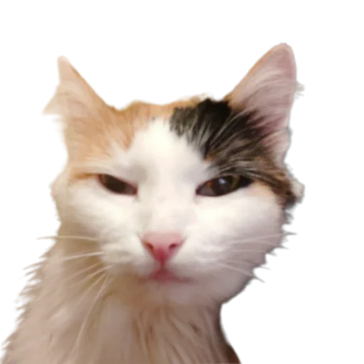 😏 Стикер «Иринарх» для Telegram