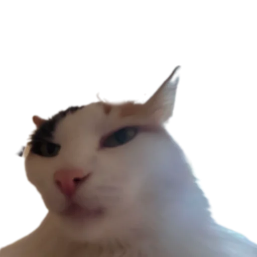 🧐 Стикер «Иринарх» для Telegram