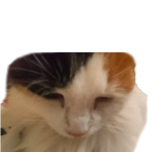 😔 Стикер «Иринарх» для Telegram