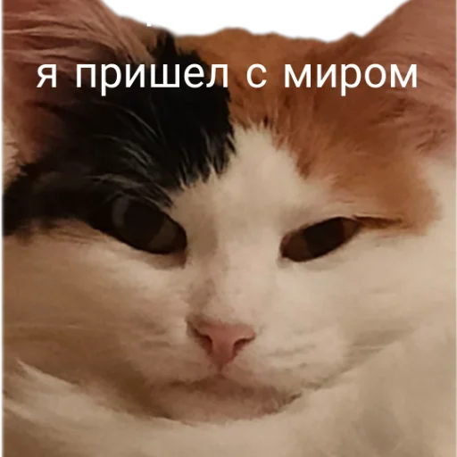 👽 Стикер «Иринарх» для Telegram