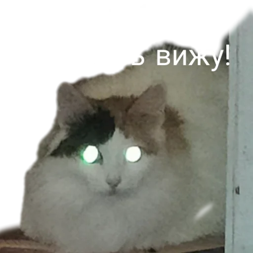 🤥 Стикер «Иринарх» для Telegram