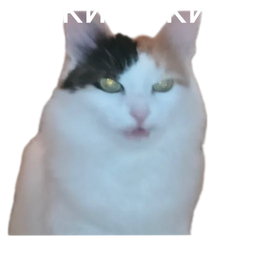😤 Стикер «Иринарх» для Telegram