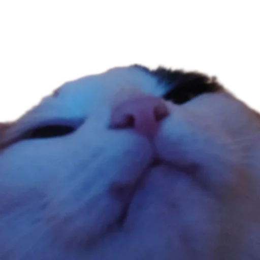 😎 Стикер «Иринарх» для Telegram