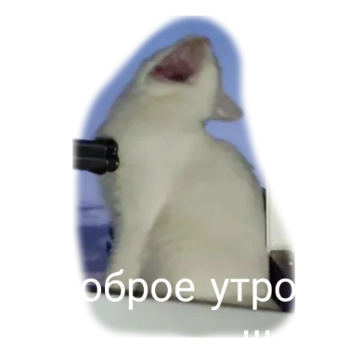 🫨 Стикер «Иринарх» для Telegram