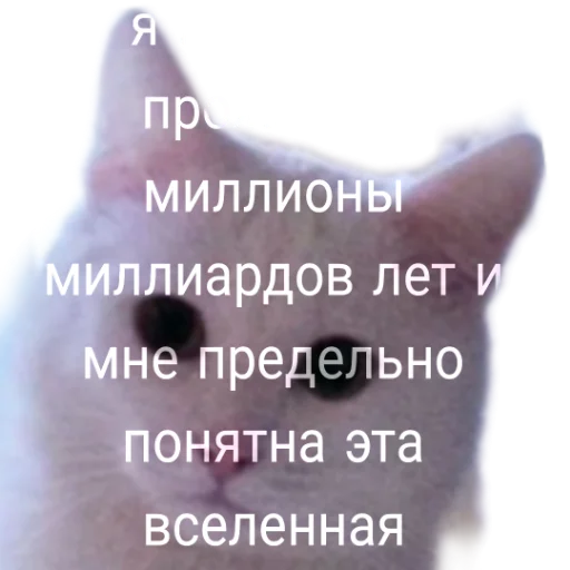 🤔 Стикер «Иринарх» для Telegram