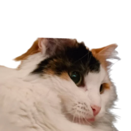 ☺️ Стикер «Иринарх» для Telegram