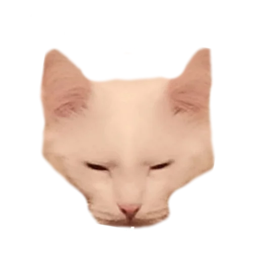 😎 Стикер «Иринарх» для Telegram