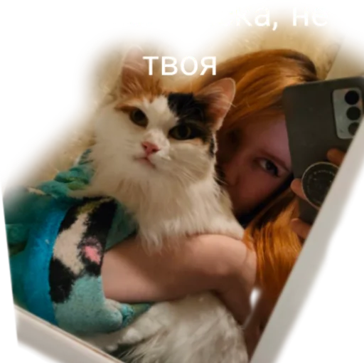 😻 Стикер «Иринарх» для Telegram