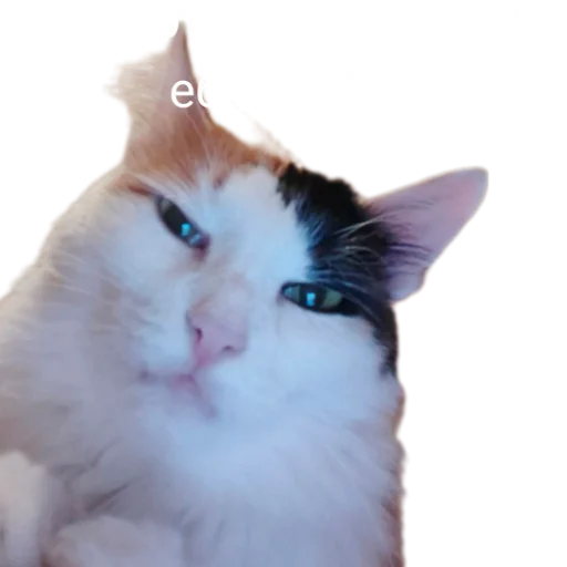🤮 Стикер «Иринарх» для Telegram