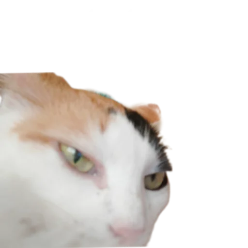 😬 Стикер «Иринарх» для Telegram