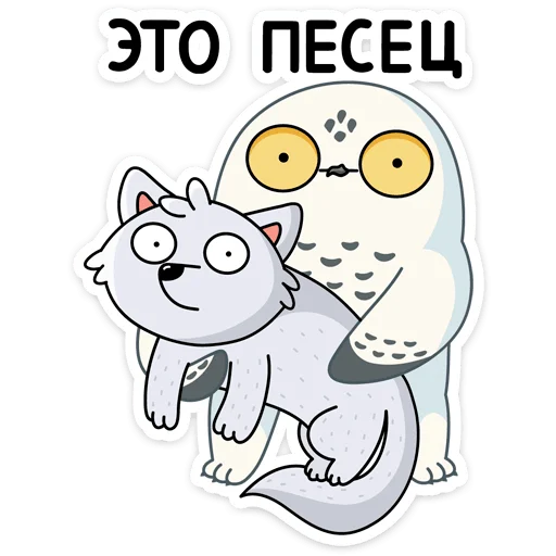 🐱 Стикер «​​​​Ирви» для Telegram