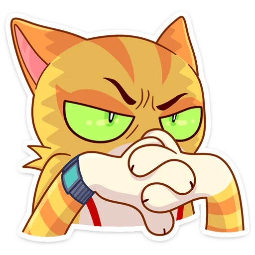 😠 Стикер «Котик Ирвин» для Telegram