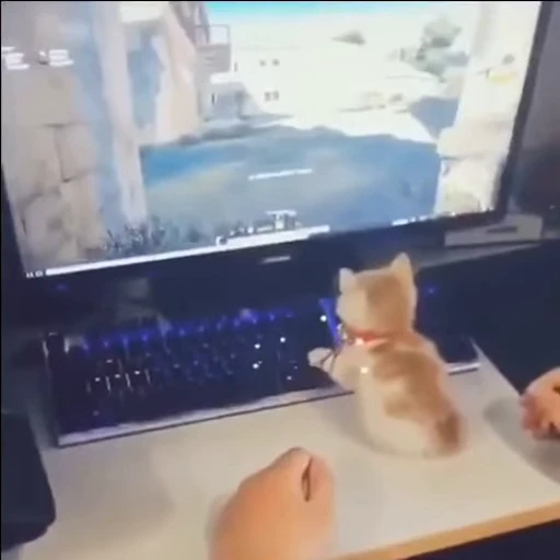 🎮 Стикер «OKAY» для Telegram