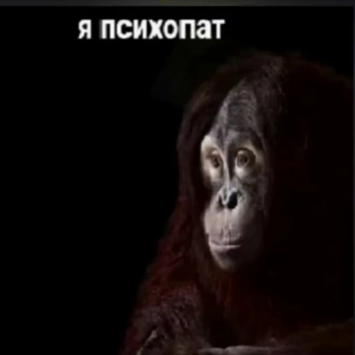 😈 Стикер «OKAY» для Telegram
