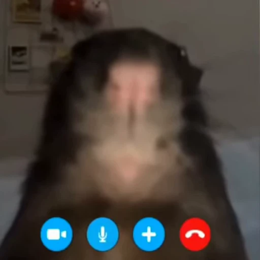 🐀 Стикер «OKAY» для Telegram