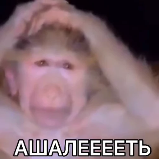 😱 Стикер «OKAY» для Telegram