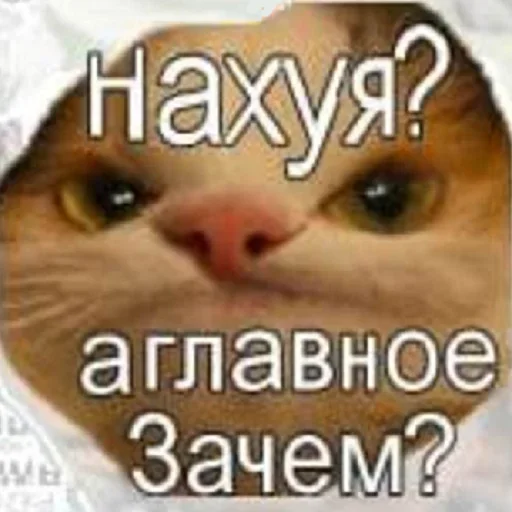 🙄 Стикер «Искажения» для Telegram