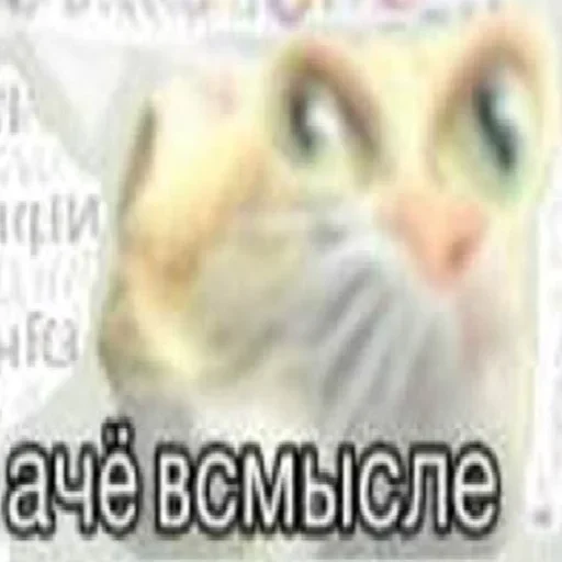 😯 Стикер «Искажения» для Telegram