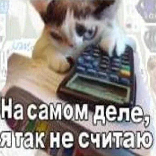 🙅‍♂️ Стикер «Искажения» для Telegram