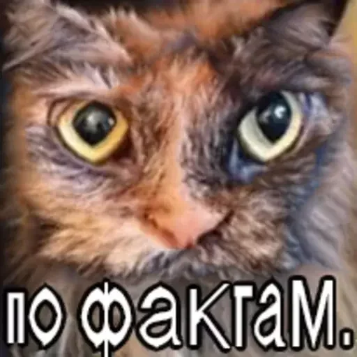 🙄 Стикер «Искажения» для Telegram