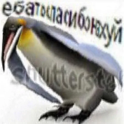 🐧 Стикер «Искажения» для Telegram