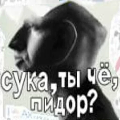 🐶 Стикер «Искажения» для Telegram