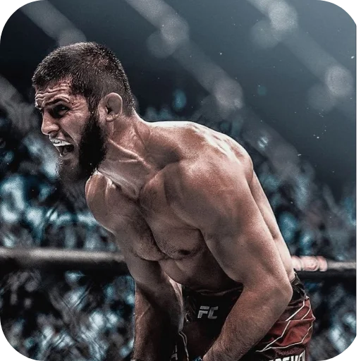 🔥 Стикер «Islam Makhachev» для Telegram