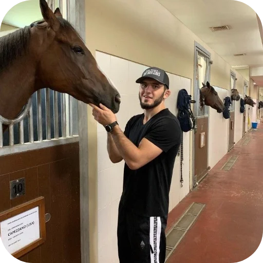 🐎 Стикер «Islam Makhachev» для Telegram