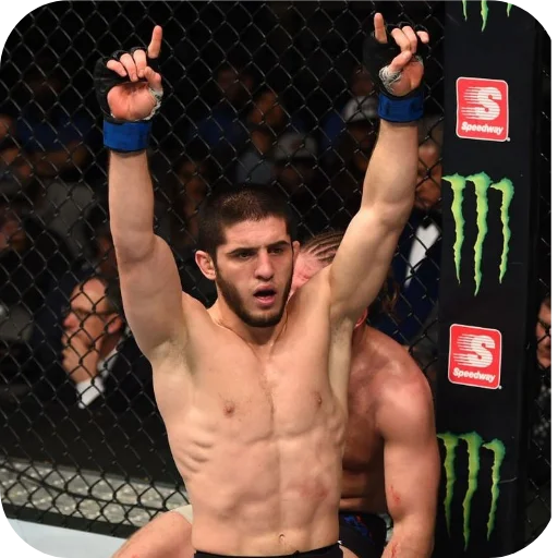 💪 Стикер «Islam Makhachev» для Telegram