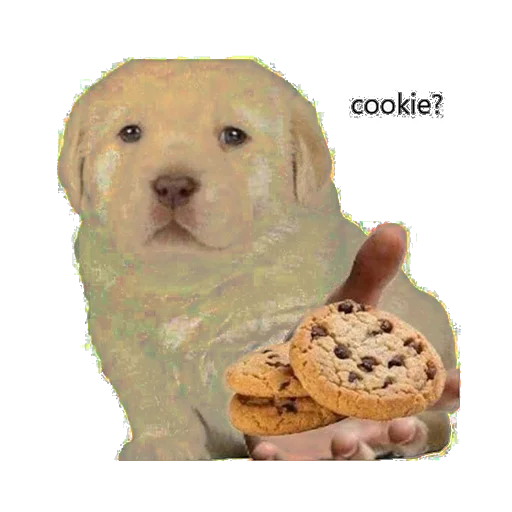 🍪 Стикер «it1» для Telegram