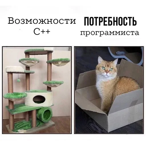 🐱 Стикер «it1» для Telegram